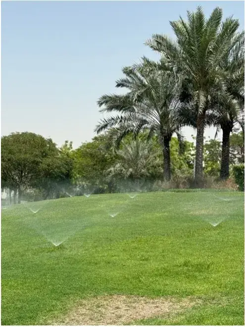 Automatic garden irrigation system watering a lush green lawn surrounded by palm trees and tropical planting in Dubai — efficient landscape maintenance by Reshape Landscaping Dubai.